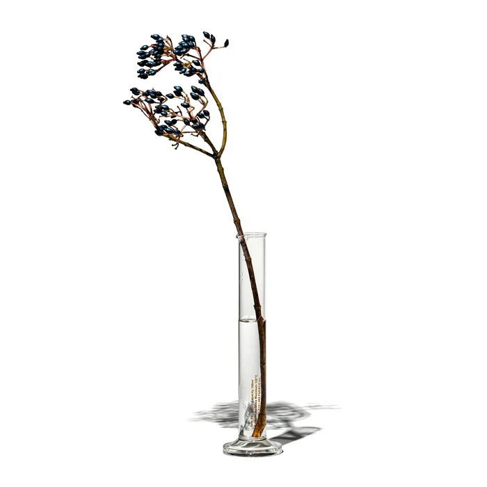 SINGLE FLOWER VASE - Image 6